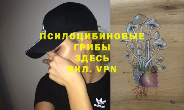 скорость mdpv Горняк