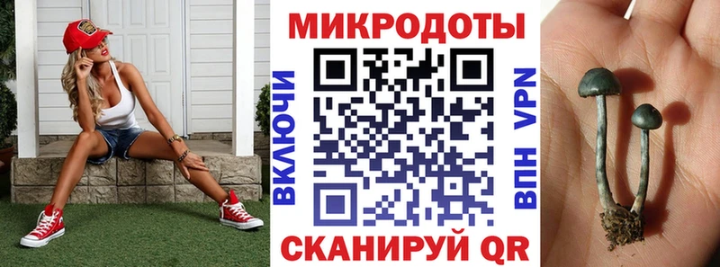 как найти Арзамас Псилоцибиновые грибы ЛСД